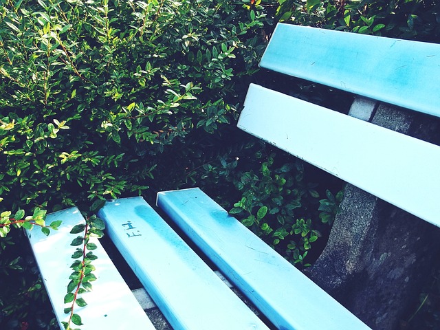 在未来的比 在未来的比