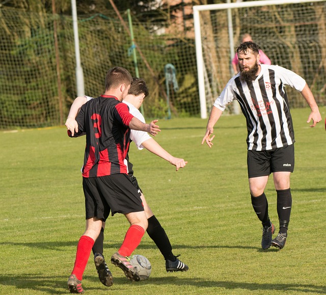 距充分显示 距充分显示