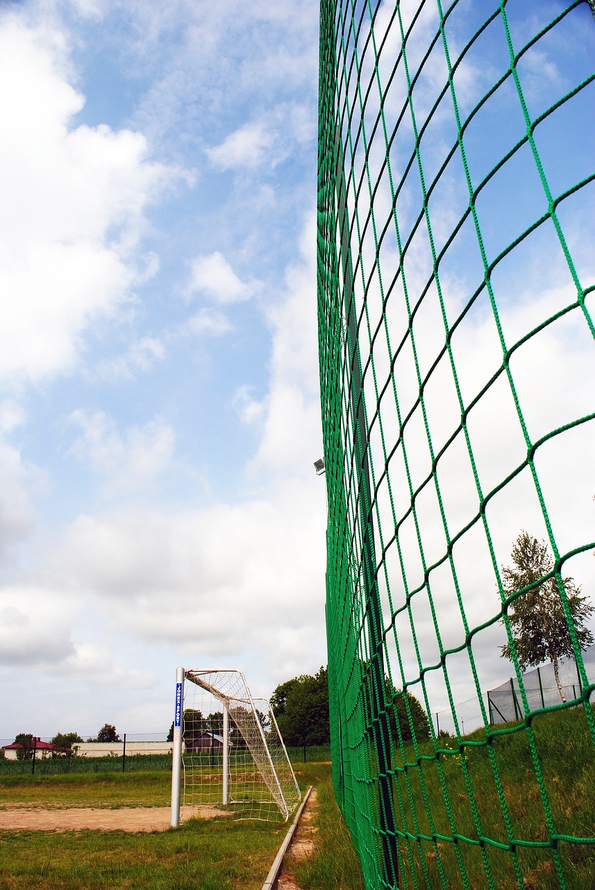 也对球员的 也对球员的