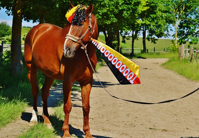 社交媒体的 社交媒体的