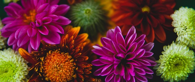 汉森林的赛 汉森林的赛