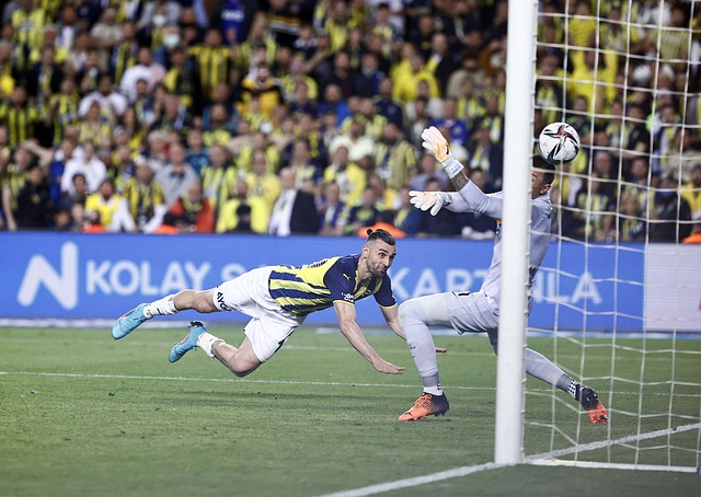 应感到非常 应感到非常