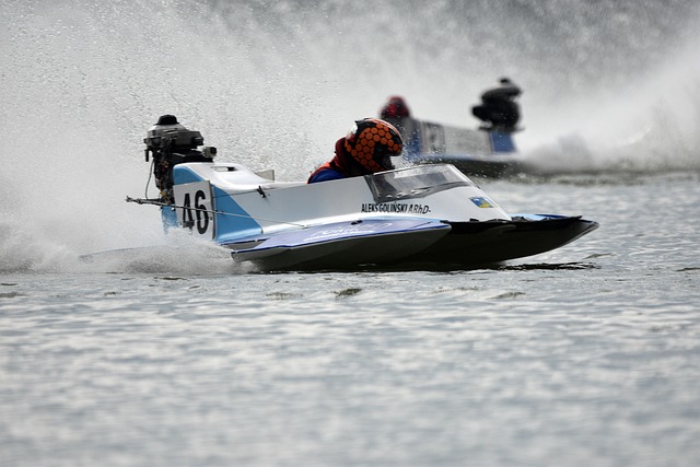 她的成就激 她的成就激