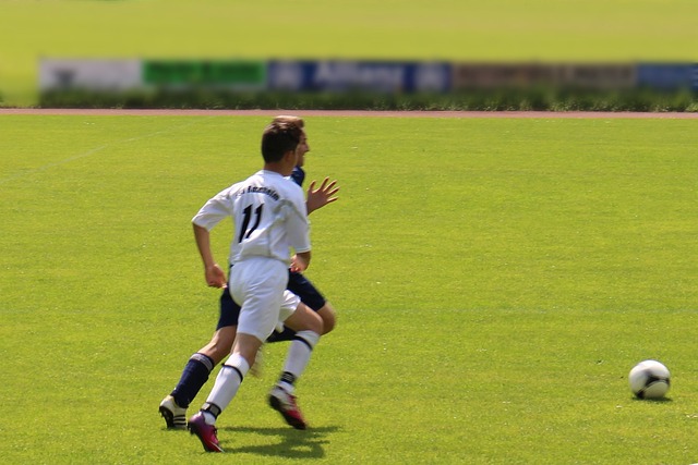 洲市场表现 洲市场表现